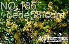 �Լ����Ϻ� ����