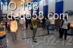 �����ַ��糧��Ϊ