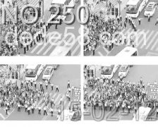 �Ϻ�����������ʽ